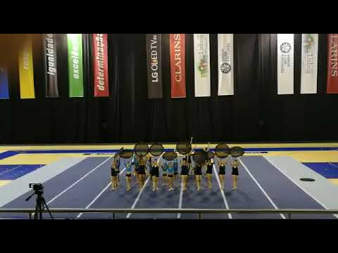 CDESMT - Sarau Rumo à Gymnaestrada do GCP 2019 - Suricatas (Outro plano)