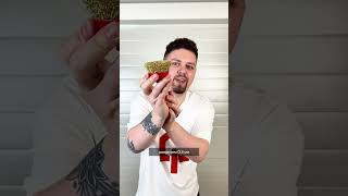 Crimped wire grinder cup brushes GEPARD (GP0865-65/75/100)