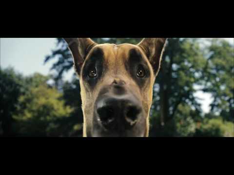 Trailer-Vorschau: Marmaduke