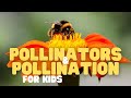 Pollinators And Pollination For Kids Fun Facts About Pollination And Who S Responsible