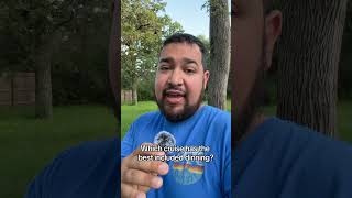 Which cruiseline has the best included dinning?