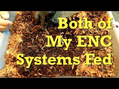 69- & 76-day European nightcrawler systems fed - worm farm vermicompost