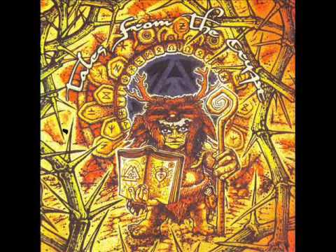 Polyphonia - LSD Kids