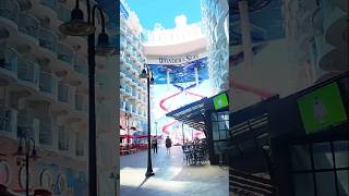 Inside the World’s Biggest Cruise Ship - Wonder of the Seas #shorts #travel