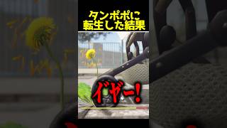 タンポポの一生　#shorts #ピロ #ゲーム実況 #ゲーム実況者