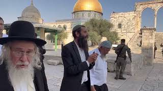 התרגשות והתעלות בקבלת שבת בעליית מנחה האחרונה בשבוע (ישיבת הר הבית) - התמונה מוצגת ישירות מתוך אתר האינטרנט יוטיוב. זכויות היוצרים בתמונה שייכות ליוצרה. קישור קרדיט למקור התוכן נמצא בתוך דף הסרטון