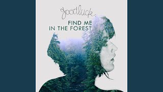 Find Me in the Forest