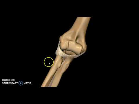 Yoga a lernia del rachide cervicale Anestesia puntura dellarticolazione del ginocchio