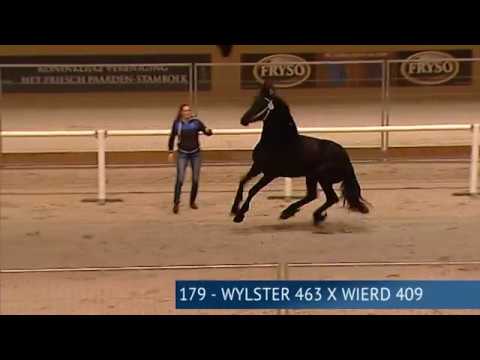 Tweede Bezichting 2017 – Groep 06