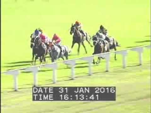 Borrowdale 31 January 2016, Race 7