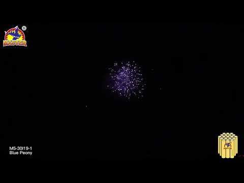 Hot Selling 1.2inch 19 Shots Blue Peony Cake Fireworks For Celebration Festival