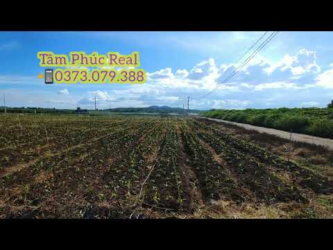 Đất thổ cư 5x23,dự án N`thol Hạ,TT,Liên Nghĩa,Đức Trọng,Lâm Đồng,giá 599 triệu