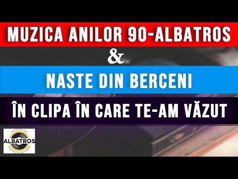 FORMAȚIA ALBATROS - ÎN CLIPA ÎN CARE TE-AM VĂZUT - CELE MAI FRUMOASE MELODII ALE ANILOR 90