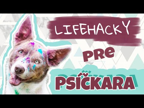 LIFEHACKY, ktoré ti uľahčia ŽIVOT SO PSOM