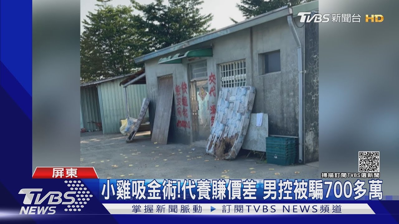 小雞吸金術！代養3周賺價差　男控被騙700多萬