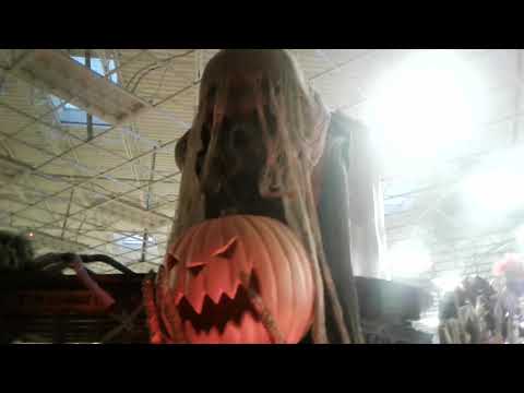 Spirit acres farm - Spirit halloween (READ DESCRIPTION)