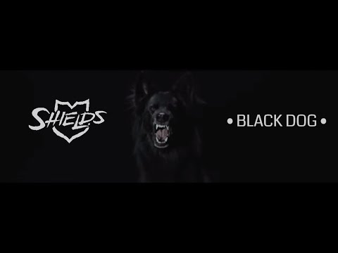 Shields - Black Dog (Official Video)