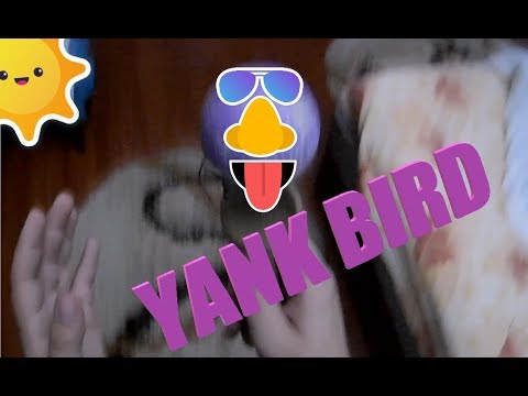 YANK BIRD !!! | 1,2,3 YANK SPIKE