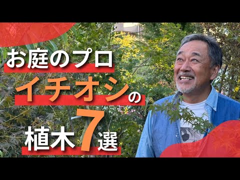 園芸 ゲイニエ・ルージュ、ゲイニエ・デュ・カナダ
