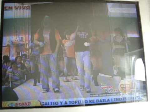 topillo cantando amor zafado