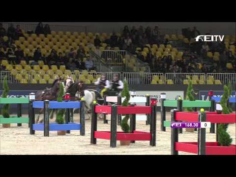 FEI World Cup™ Driving 2013/14 Verona - Jozsef Dobrovitz Jr 2nd