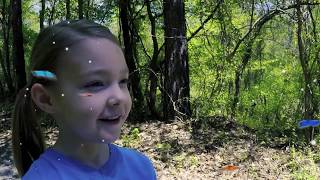 Experience the Magic - Van Buren County