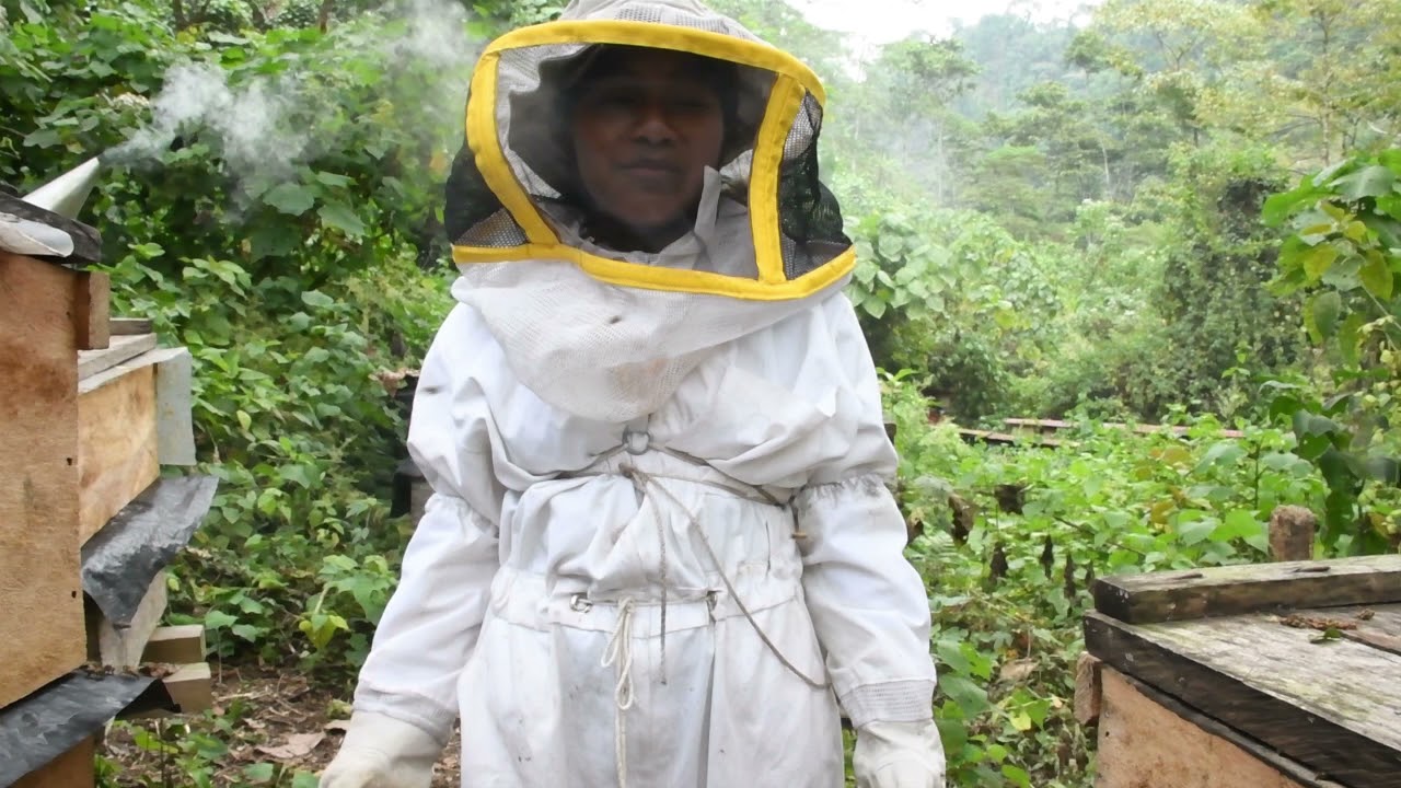 Historia de miel grupo de mujeres