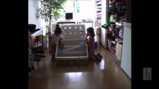 A Lecture in Psychology: Origins of Human Cooperation and Morality