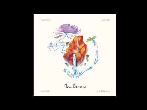 Volcán - Senderos del mono