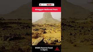 Coolest National Parks & Wildlife Reserves in Algeria