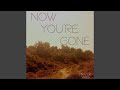 Now You're Gone