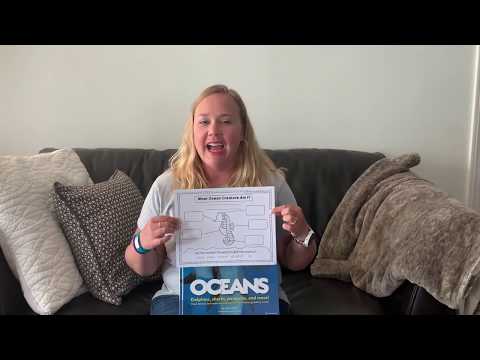 Science: Sensational Seahorse (May 27, 2020)