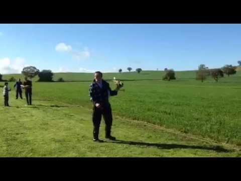 Fokker DVIII First flight at Cowra Oily Hand.