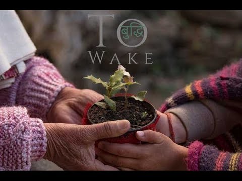 To Wake  Buddhi 2017 last