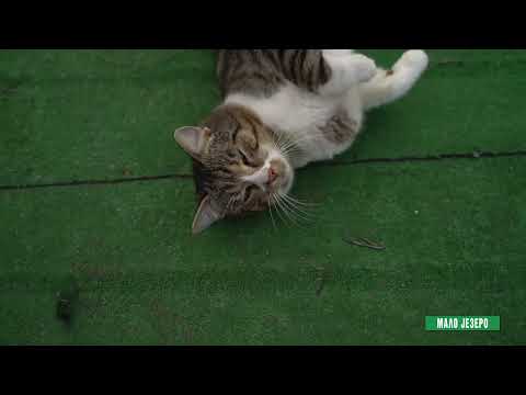 Reke i jezera - Malo jezero