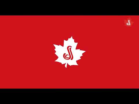 AMSC - Standard Niveaux 1 ski - 2026