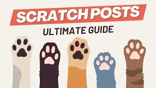 BEST CAT SCRATCH POSTS | Ultimate Guide (with Cat Scratcher 