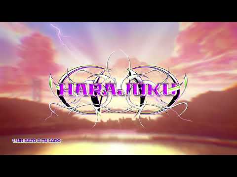 Swallow X - Un Rato a tu Lado (Visualizer)