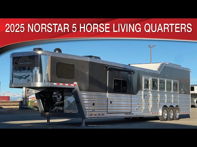 Preview image of the linked video