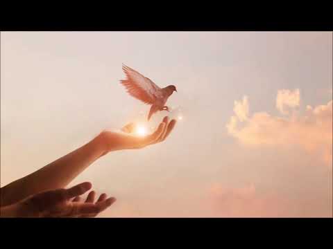 "I soliti discorsi… d’amore. O forse no?" - Pietro Fusco