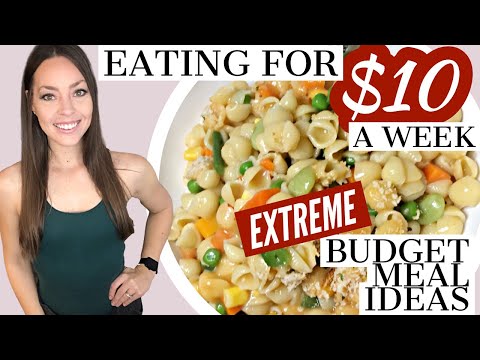 HOW TO EAT FOR $10 A WEEK | Extreme Low Budget Grocery Haul & Meal Ideas | Emergency Meals | Vegan