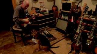 Poco Rusty Young plays guitar for Zog the Dog