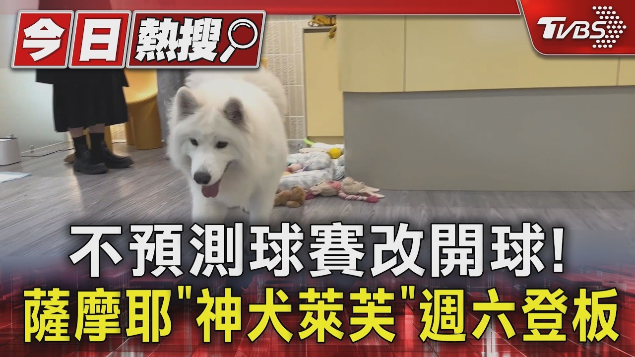 神犬「萊芙」兒童節開球！經典賽神預測爆紅　粉絲3天暴漲10倍