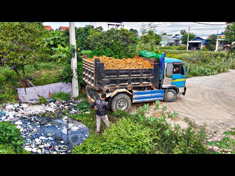 First Starting A New Project! Filling Land By Bulldozer Komat'su D20P With 5ton Trucks