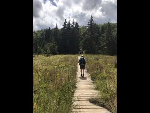 A welcomed boardwalk over boggy terrain