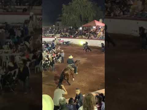 Fiestas taurinas Juchitlan Jalisco 2023 caballo el Patron de cuadra Villaseñor