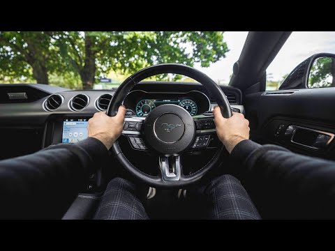 Pure 5.0L V8 Ford Mustang Noises & POV Photoshoot!