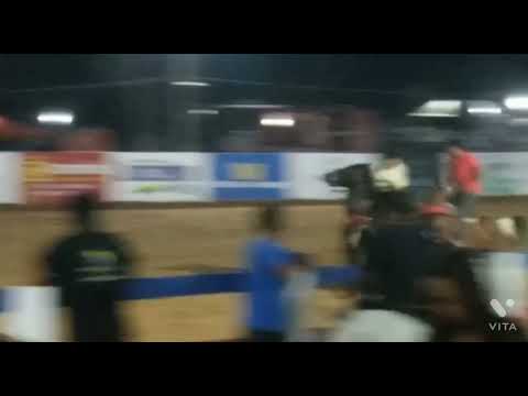 vaquejada parque Arthur Gonzaga tuntum