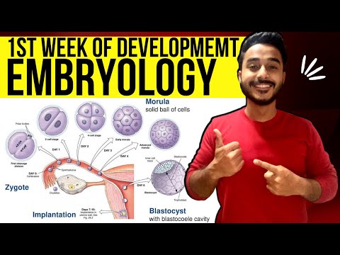 general embryology anatomy | first week of development embryology | Johari MBBS