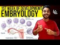 General Embryology Anatomy First Week Of Development Embryology Johari MBBS